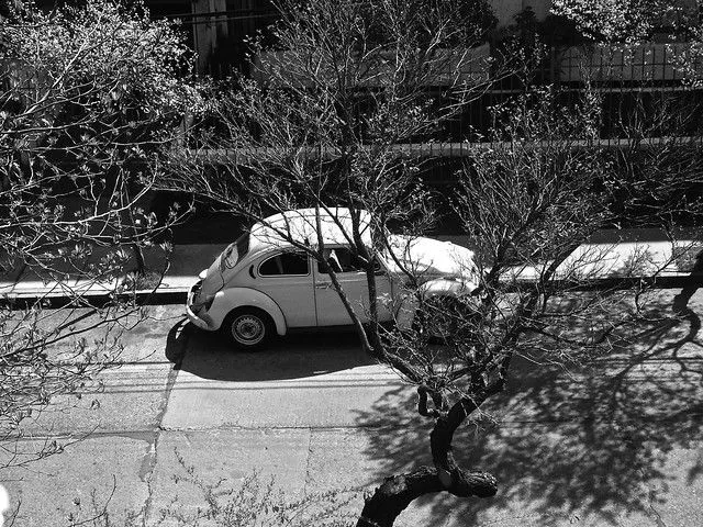 cucaracha en blanco y negro | Flickr - Photo Sharing! cucaracha en blanco y negro | Flickr - Photo Sharing!