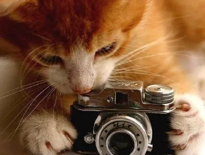 CUELLO, PARA QUE LLEVAS LA CAMARA SI NO SACAS UNA FOTO??? CUELLO, PARA QUE LLEVAS LA CAMARA SI NO SACAS UNA FOTO???