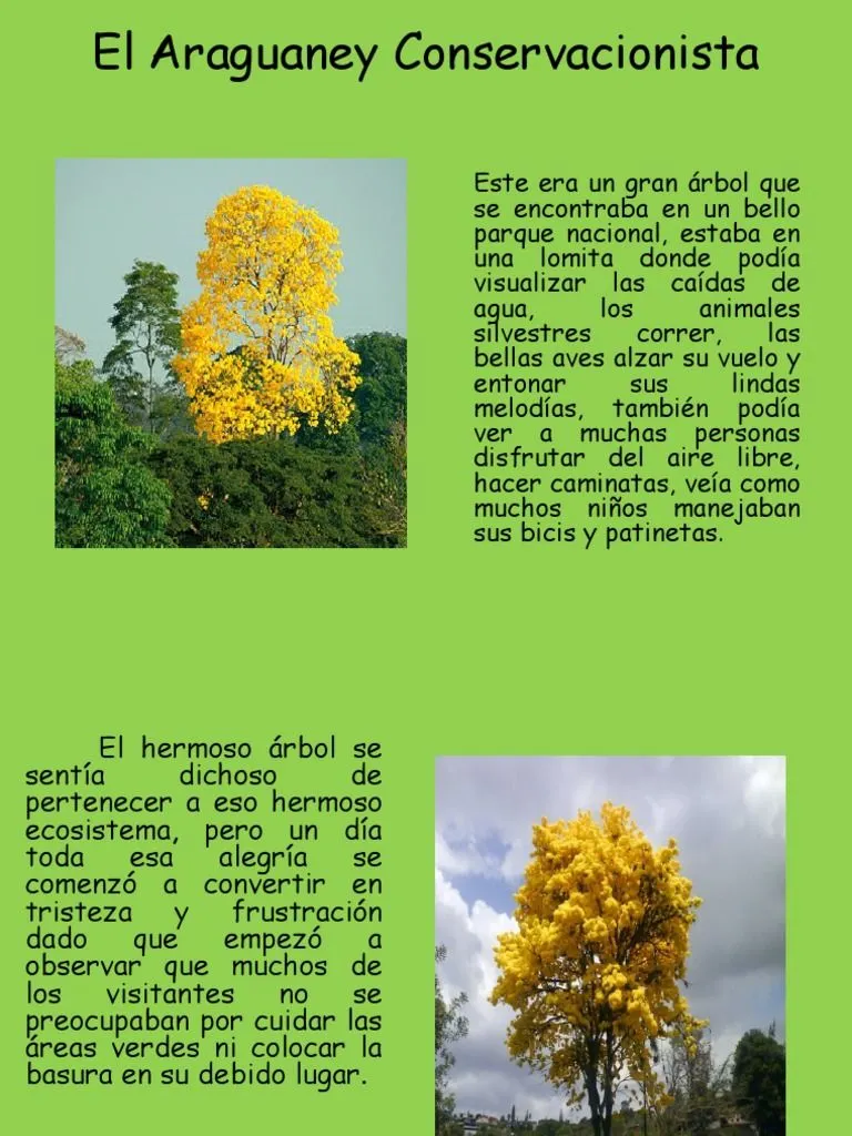 Cuento: El Araguaney Conservacionista | PDF Cuento: El Araguaney Conservacionista | PDF