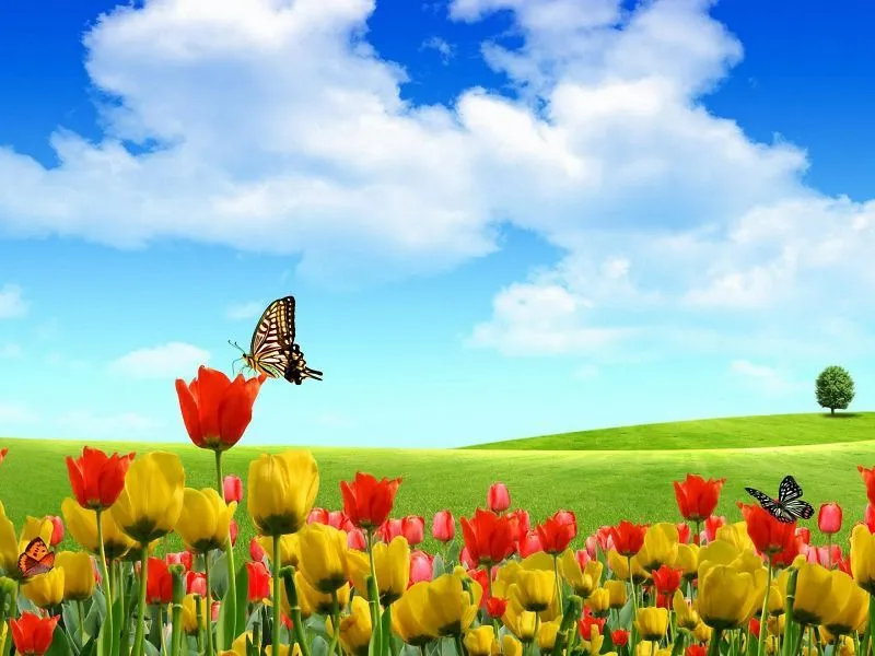 CUENTOS | ♥Ƹ̵̡Ӝ̵̨̄Ʒ♥ ღ Ƹɳ Մɳ Ɽïɳ¢óɳ Ðҽɭ Ѧɭᶆą ღ CUENTOS | ♥Ƹ̵̡Ӝ̵̨̄Ʒ♥ ღ Ƹɳ Մɳ Ɽïɳ¢óɳ Ðҽɭ Ѧɭᶆą ღ