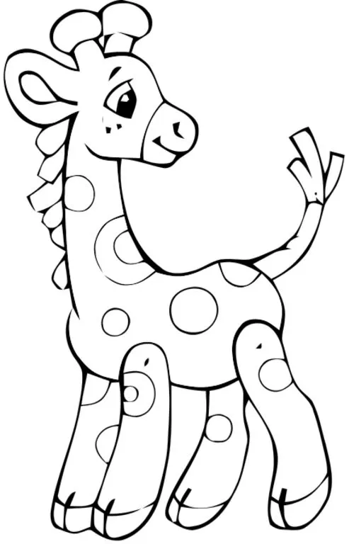 Cuentos de amatxu: Dibujos para colorear: animales de la selva Cuentos de amatxu: Dibujos para colorear: animales de la selva