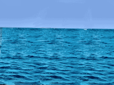 Cuentos Ambientales… « Historia de Mar del Plata Cuentos Ambientales… « Historia de Mar del Plata