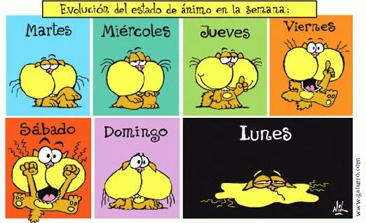 Cuentos cortos infantiles: Chistes para niños