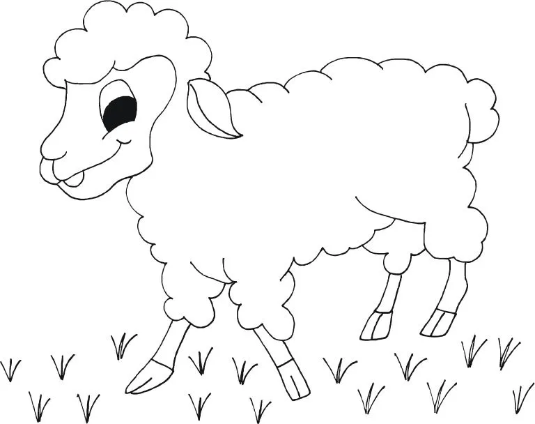 CuentosDeDonCoco.Com: DIBUJO DE LA OVEJA PARA COLOREAR PARA PREESCOLAR CuentosDeDonCoco.Com: DIBUJO DE LA OVEJA PARA COLOREAR PARA PREESCOLAR