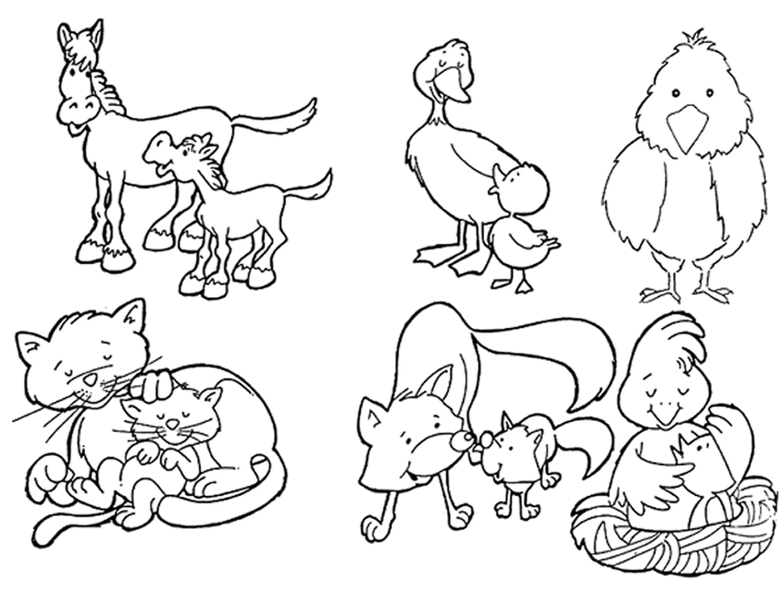 Cuentos de Don Coco: ANIMALES VIVÍPAROS PARA COLOREAR || Cuentos ... Cuentos de Don Coco: ANIMALES VIVÍPAROS PARA COLOREAR || Cuentos ...