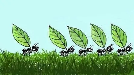 CuentosDeDonCoco.Com: LAS CINCO HORMIGUITAS - CUENTOS INFANTILES CuentosDeDonCoco.Com: LAS CINCO HORMIGUITAS - CUENTOS INFANTILES