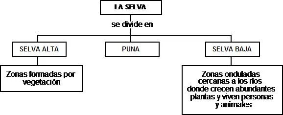 Cuentos de Don Coco: MAPA CONCEPTUAL DE LA SELVA || Cuentos ...