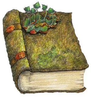 CUENTOS EMPITUCADOS: Origen y evolución de los cuentos infantiles CUENTOS EMPITUCADOS: Origen y evolución de los cuentos infantiles