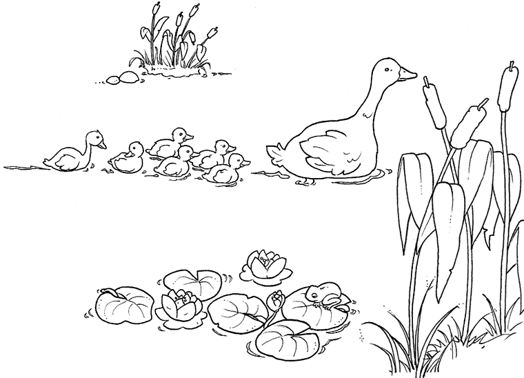 Cuentos infantiles: Dibujos del patito feo para colorear. Cuentos infantiles: Dibujos del patito feo para colorear.