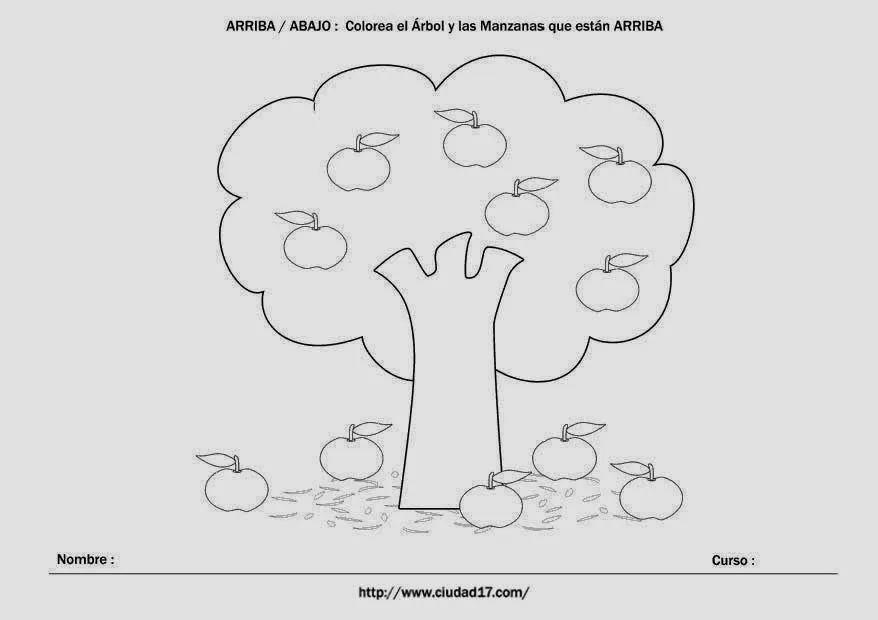 Cuentos, Vídeos y Diversión: TRABAJAMOS LA LATERALIDAD ( ARRIBA Y ...