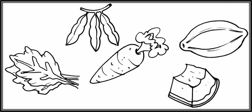 CuentosDeDonCoco.Com: ALIMENTOS PROTECTORES PARA COLOREAR CuentosDeDonCoco.Com: ALIMENTOS PROTECTORES PARA COLOREAR