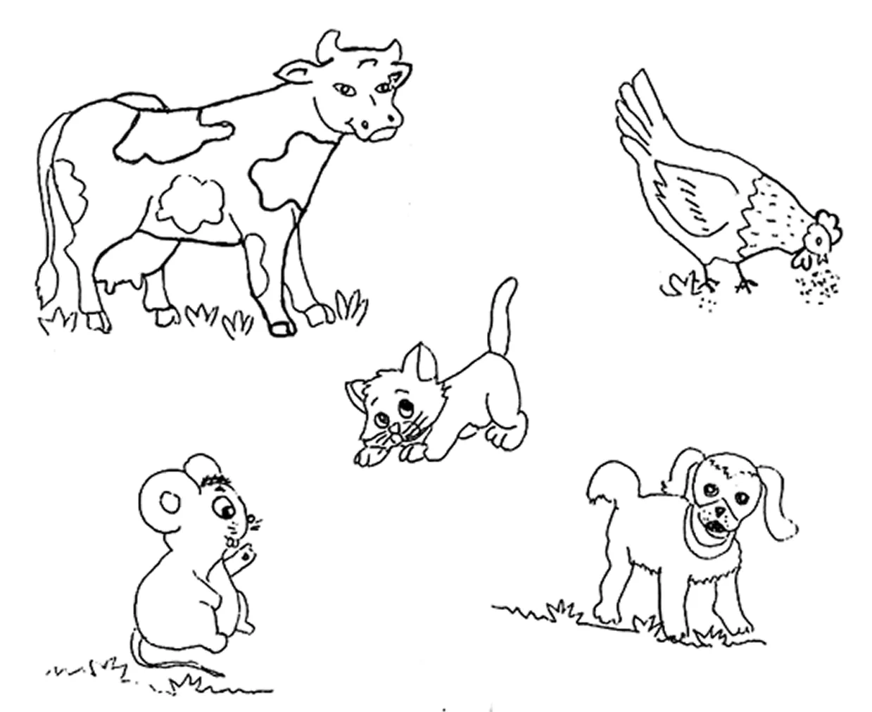 CuentosDeDonCoco.Com: ANIMALES MAMÍFEROS PARA COLOREAR CuentosDeDonCoco.Com: ANIMALES MAMÍFEROS PARA COLOREAR