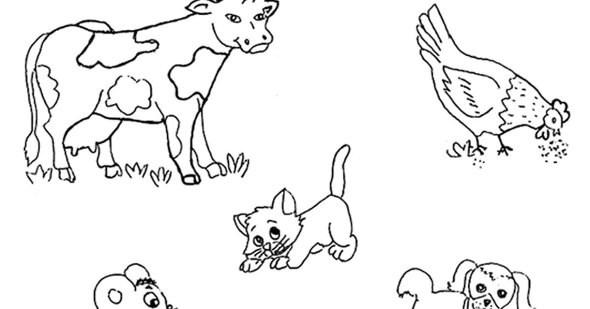 CuentosDeDonCoco.Com: ANIMALES MAMÍFEROS PARA COLOREAR CuentosDeDonCoco.Com: ANIMALES MAMÍFEROS PARA COLOREAR
