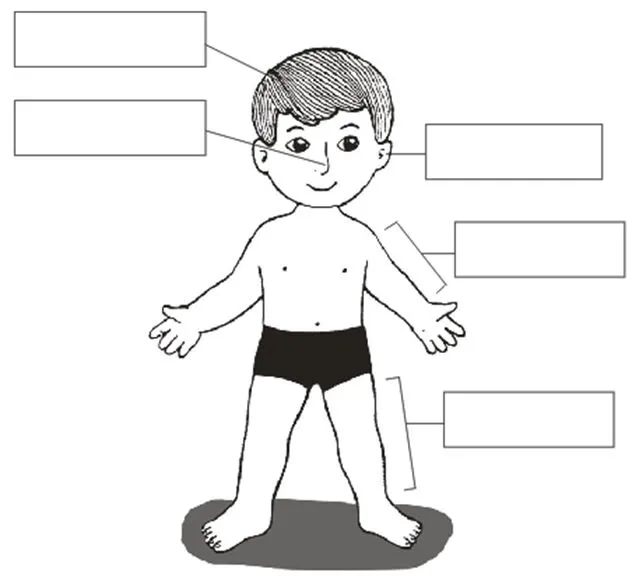 CuentosDeDonCoco.Com: FICHA DEL CUERPO HUMANO EN INGLES PARA NIÑOS