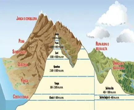 CuentosDeDonCoco.Com: LAS 8 REGIONES NATURALES DEL PERÚ - RESUMEN