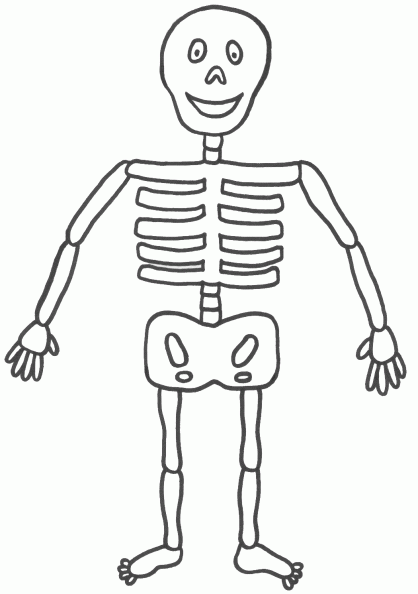 El cuerpo humano