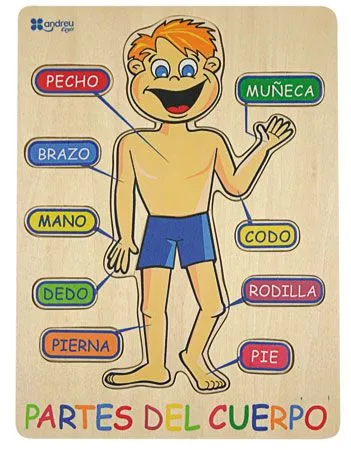 EL CUERPO HUMANO: EL MARAVILLOSO CUERPO HUMANO EL CUERPO HUMANO: EL MARAVILLOSO CUERPO HUMANO
