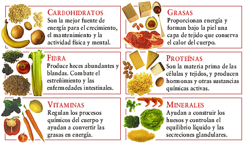 El cuerpo humano 6º - T5- 1.1. Los alimentos y nutrientes