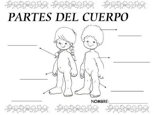 G el cuerpo humano dibujo par niños humano - Imagui G el cuerpo humano dibujo par niños humano - Imagui