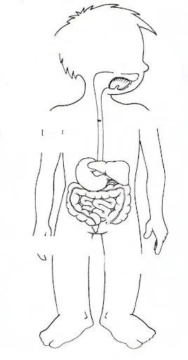 CUERPO HUMANO: DIBUJOS PARA COMPLETAR Y COLOREAR CUERPO HUMANO: DIBUJOS PARA COMPLETAR Y COLOREAR