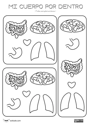 EL CUERPO HUMANO EN EDUCACIÓN INFANTIL: Imágenes y recortables de ... EL CUERPO HUMANO EN EDUCACIÓN INFANTIL: Imágenes y recortables de ...
