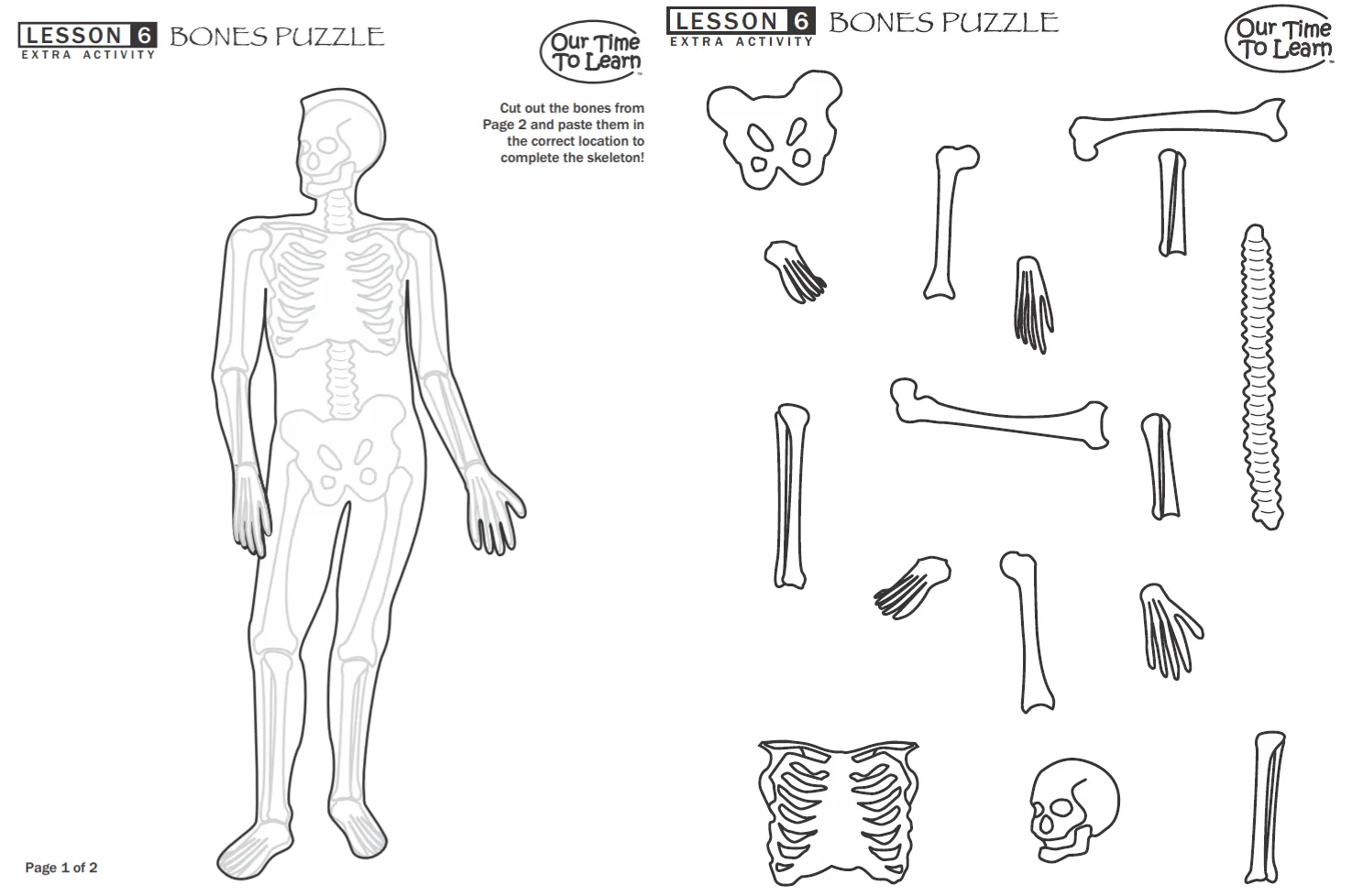 El cuerpo humano – El esqueleto – Nuestra Lentejita El cuerpo humano – El esqueleto – Nuestra Lentejita