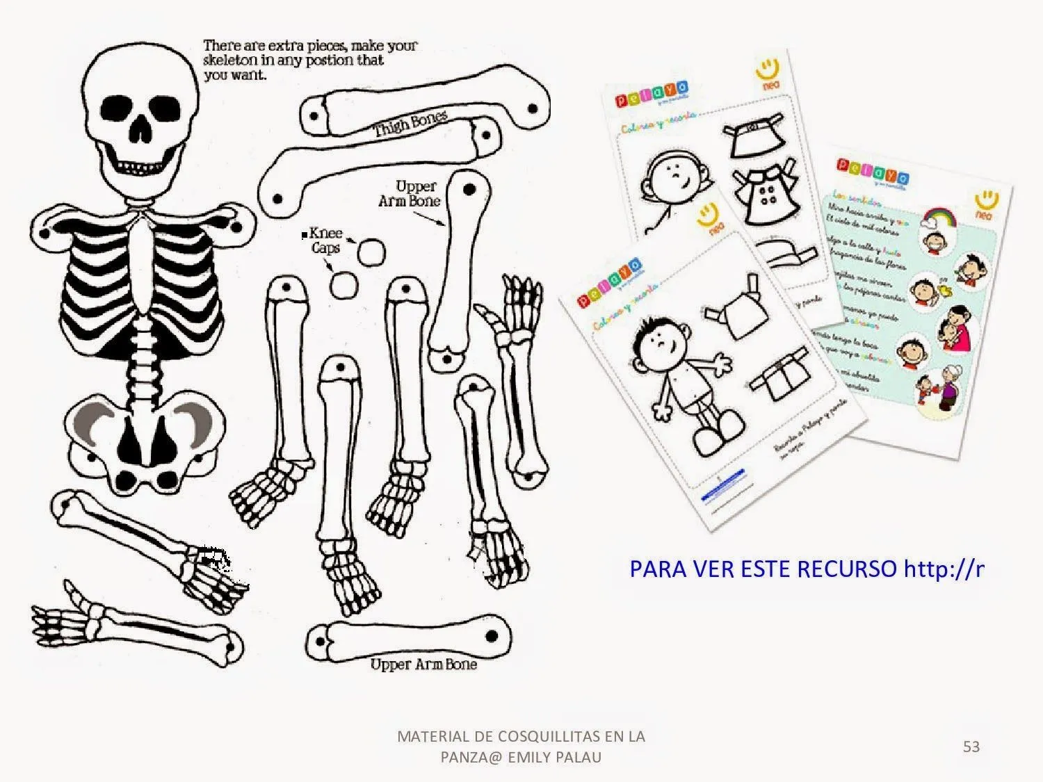 El cuerpo humano. Esqueletos para montar. | Aparatos del cuerpo humano, Cuerpo humano, El cuerpo humano infantil El cuerpo humano. Esqueletos para montar. | Aparatos del cuerpo humano, Cuerpo humano, El cuerpo humano infantil