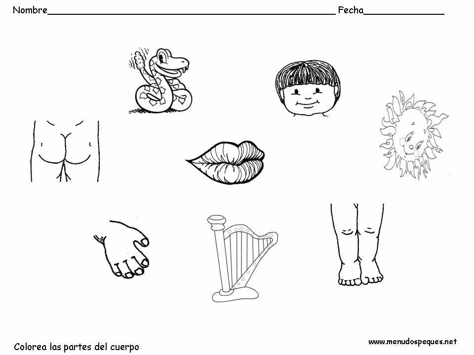 El cuerpo humano: Ficha "Colorea las partes del cuerpo" El cuerpo humano: Ficha "Colorea las partes del cuerpo"