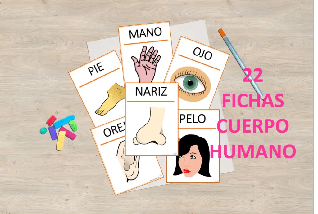 Cuerpo humano. Fichas y tarjetas para imprimir. - Aprendiendo con Julia Cuerpo humano. Fichas y tarjetas para imprimir. - Aprendiendo con Julia