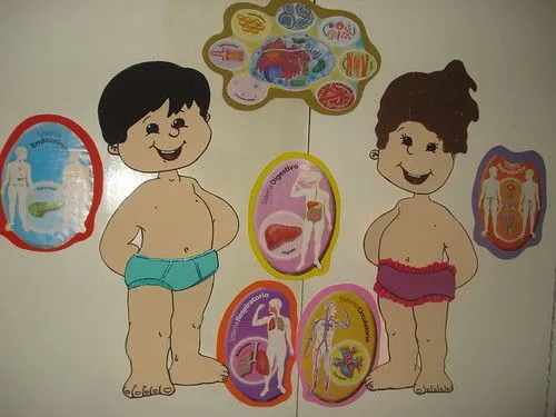 Como hacer un cuerpo humano en foami - Imagui Como hacer un cuerpo humano en foami - Imagui