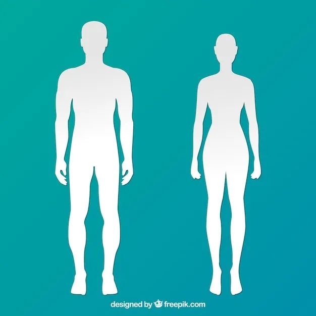 Cuerpo Humano | Fotos y Vectores gratis