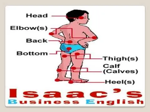 Curso de Ingles 77 ESL THE BODY vocabulary - YouTube Curso de Ingles 77 ESL THE BODY vocabulary - YouTube