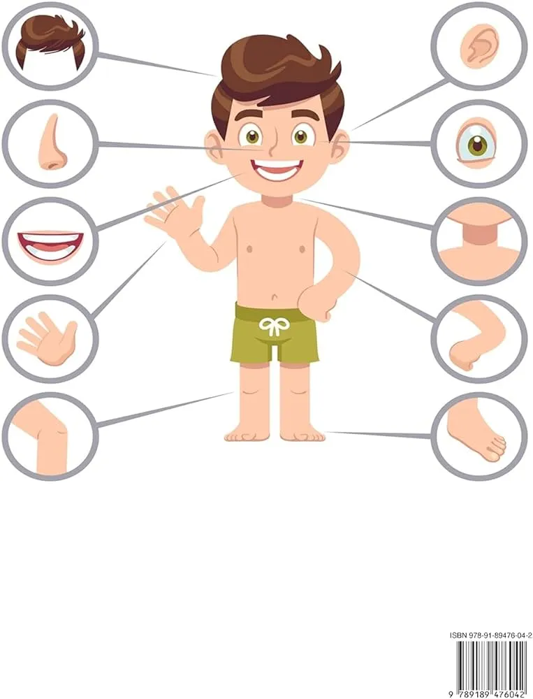 Cuerpo humano Libro para colorear para niños: ¿Qué hay dentro de mí? Conoce los órganos humanos Libro de anatomía para colorear para niños Actividad sobre biología : Amazon.com.mx: Libros Cuerpo humano Libro para colorear para niños: ¿Qué hay dentro de mí? Conoce los órganos humanos Libro de anatomía para colorear para niños Actividad sobre biología : Amazon.com.mx: Libros