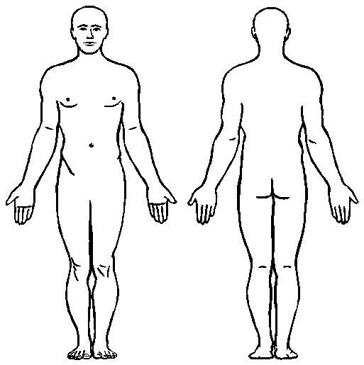 Cuerpo humano | En La Mar