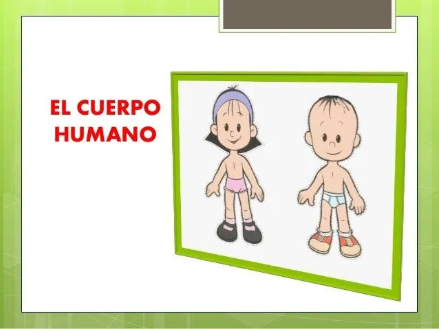 El cuerpo humano nivel inicial
