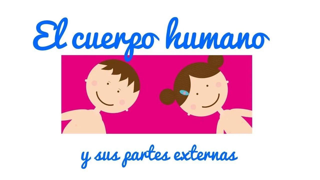El cuerpo humano y sus partes: partes externas. - YouTube El cuerpo humano y sus partes: partes externas. - YouTube