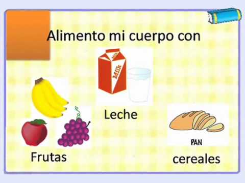 El cuerpo humano y sus partes - YouTube