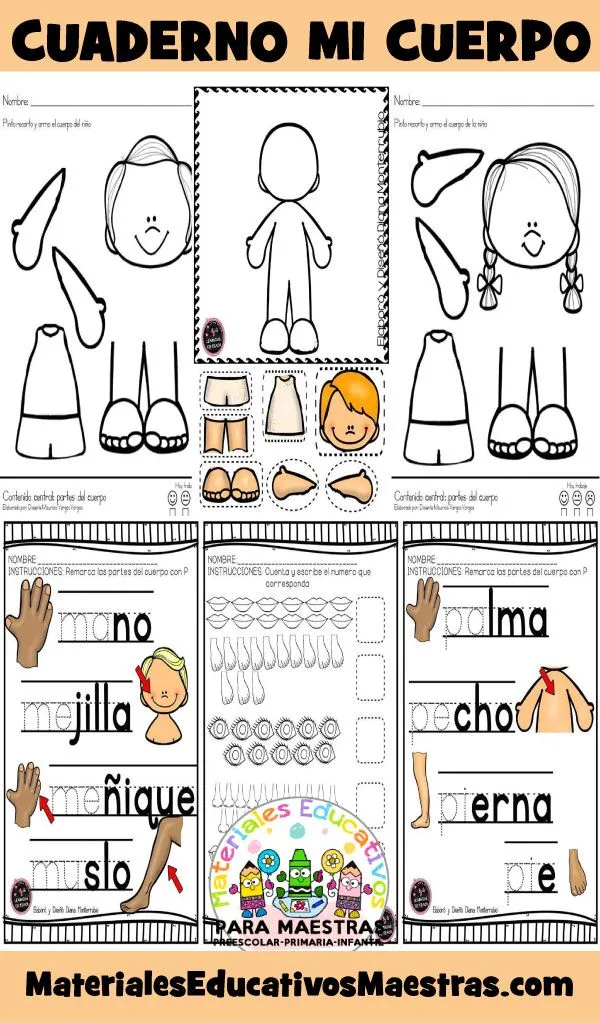 Cuerpo humano en Primaria: ¡40 recursos por descubrir! Cuerpo humano en Primaria: ¡40 recursos por descubrir!