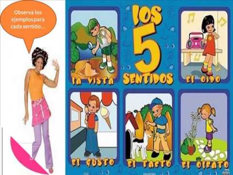 Cuerpo humano y salud Los Sentidos - YouTube