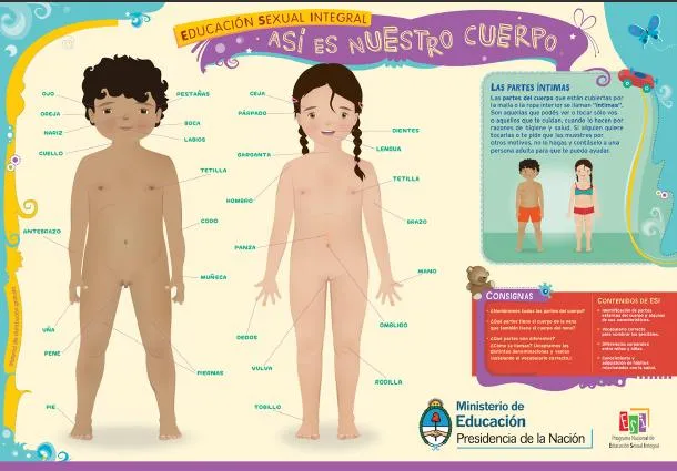 Diferencia entre niño y niña - Imagui