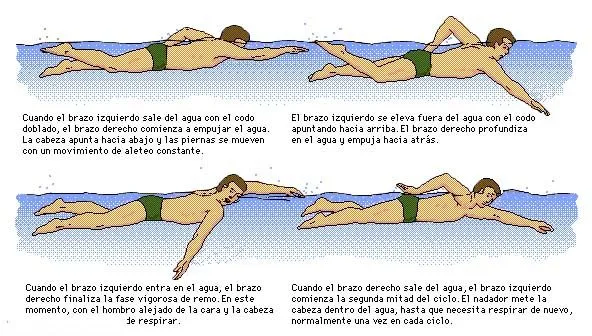 Cuerpo sano; recibo Osteopatía Profesional: Escoliosis Cuerpo sano; recibo Osteopatía Profesional: Escoliosis