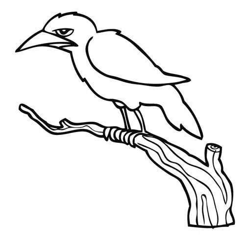 Animales para colorear: Cuervo