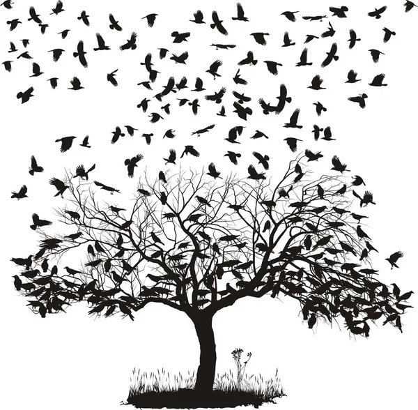 cuervos en un árbol — Vector stock © vlado #10667169 cuervos en un árbol — Vector stock © vlado #10667169
