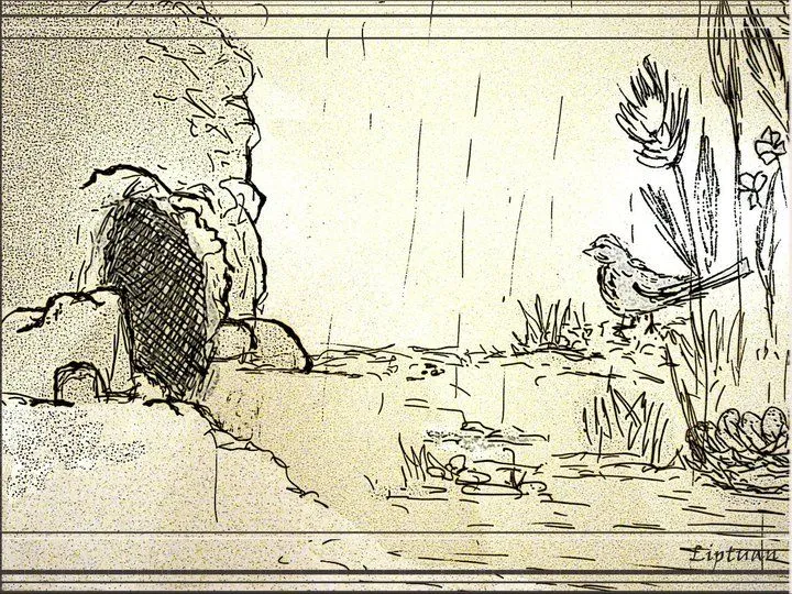 cueva | Paraísos surrealistas y otros lugares y seres