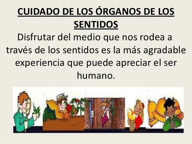 cuidado-de-los-sentidos-2-638. ...