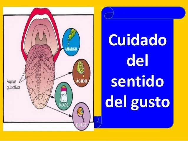 Cuidado de los sentidos - Imagui