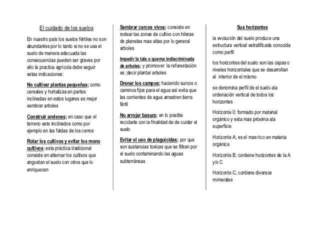 El cuidado de los suelos