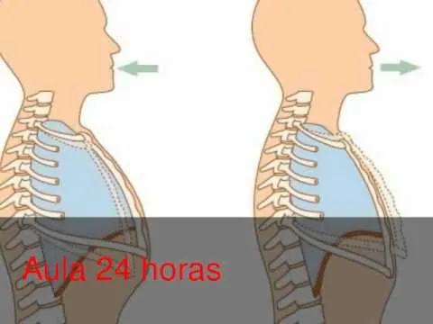 Cuidados del aparato respiratorio - YouTube