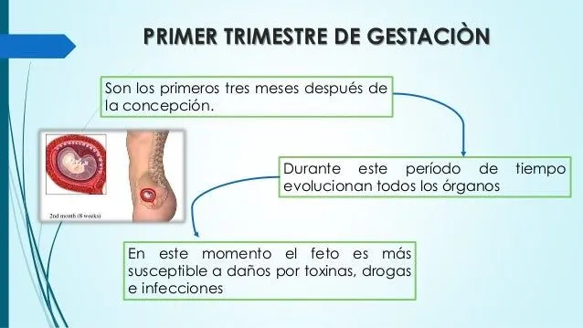 cuidados-de-enfermeria-en-el-1 ...