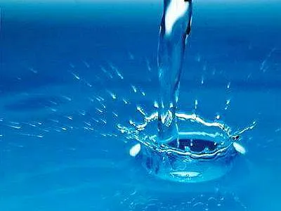 Cómo cuidar el agua? | te quiero verde
